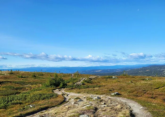 Sunny With Panoramic Views At Sjusjoen