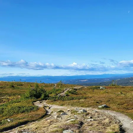 Sunny With Panoramic Views At Sjusjoen