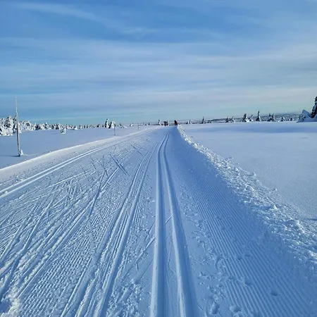 Sunny With Panoramic Views At * Sjusjoen
